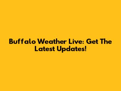 Buffalo Weather Live: Get The Latest Updates!